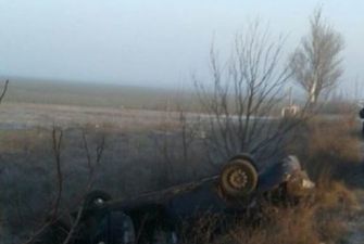 Четверо пострадавших: в Херсонской области легковушка улетела в кювет