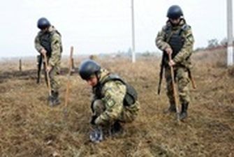 Канадские военные начали обучать украинских саперов в Польше