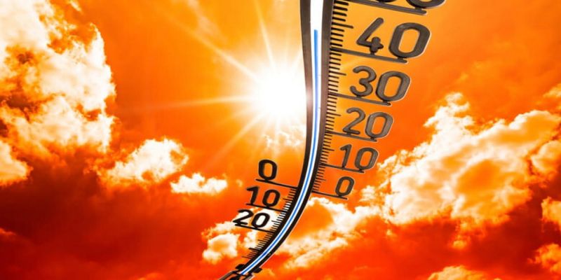 По данным исследователей, планета пережила самый теплый год за всю историю наблюдений