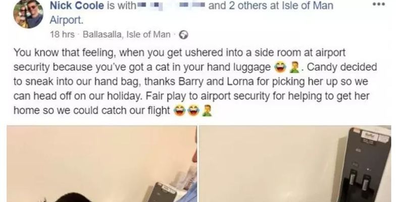 В аэропорту обнаружили кота в ручной клади
