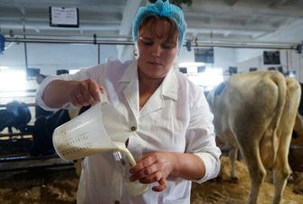 Розбавлене молоко і підфарбований сир: як відрізнити підроблену молочку від справжньої