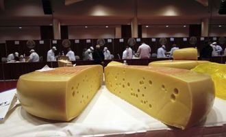 В Украине растет импорт сыра: как это повлияет на цены