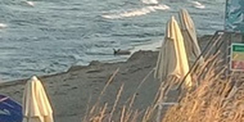 В Болгарии на пляж выбросило ускоритель ракеты Панцирь-С1