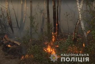 Жіноча помста: поліція назвала причину виникнення пожежі у Чорнобильській зоні