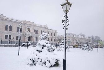 Поваленные деревья и сказочные пейзажи: во что снегопад превратил Одессу