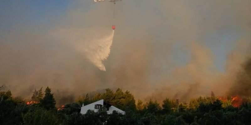 Турцию охватили масштабные лесные пожары