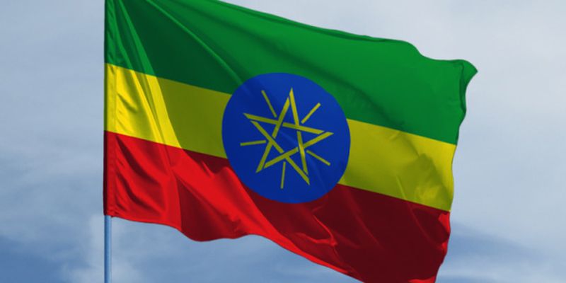 ЕС и США заявили о гуманитарной катастрофе в эфиопском регионе Тыграй