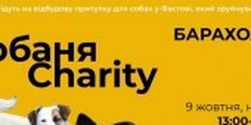 У Києві у неділю відбудеться благодійна барахолка СобаняCharity