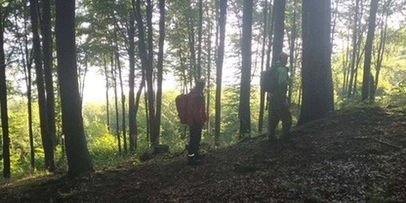 На Закарпатье нашли пропавших детей - заблудились и провели ночь в лесу