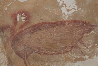 Археологи нашли древнейший рисунок свиньи: ему может быть 45 тысяч лет, фото