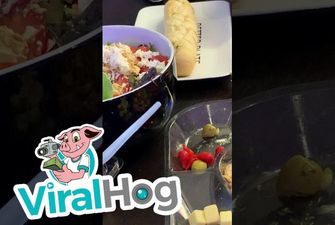 Курьезный случай в Британии: из тарелки с салатом выпрыгнула саранча