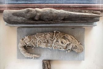 В Египте нашли самую загадочную мумию в истории