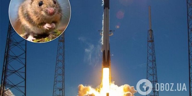 SpaceX запустила в космос животных-мутантов. Видео
