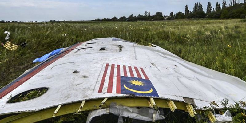 В деле о катастрофе MH17 появились новые свидетели – глава JIT