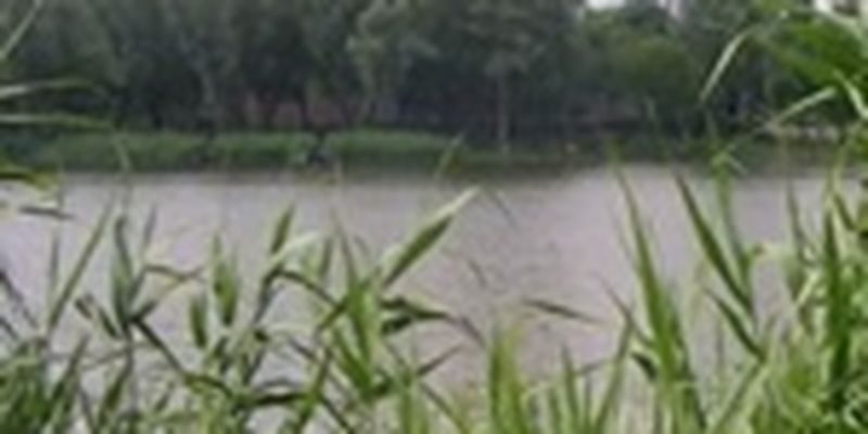Озера на Оболони опасны для здоровья, - правозащитник Алексей Шевчук