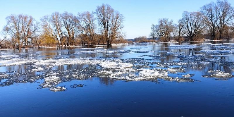 Перекрыты мосты и дороги: на Черниговщине наблюдается самое сильное за 130 лет зимнее наводнение, фото и видео
