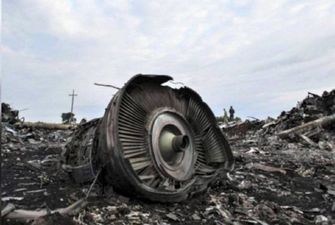 Дело о крушении самолета Boeing 777 на Донбассе: Нидерланды засекретят имена свидетелей - СМИ