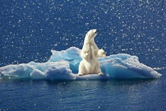 Лід в Арктиці влітку може зникнути - вчені