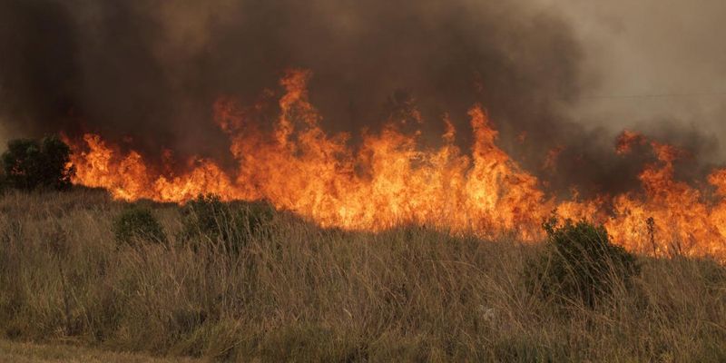 У РФ нова "бавовна": вогонь може перекинутися на будинки і АЗС Ростовської області