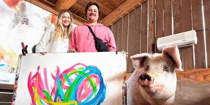 Умерла свинка-художница по кличке Пигкассо: причина смерти