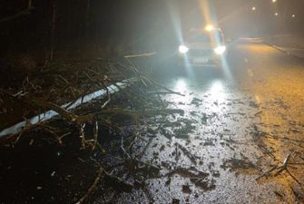 Ураганы в Польше повалили сотни деревьев и оставили без электричества десятки тысяч человек