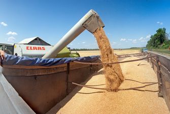 Украина увеличила экспорт зерна нового урожая