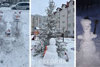 Фото дня. Под Хмельницким организовали выставку снеговиков