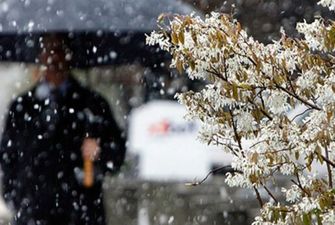 Аномальная погода в марте не пощадит украинцев, весна отменяется: климатологи ошарашили прогнозом