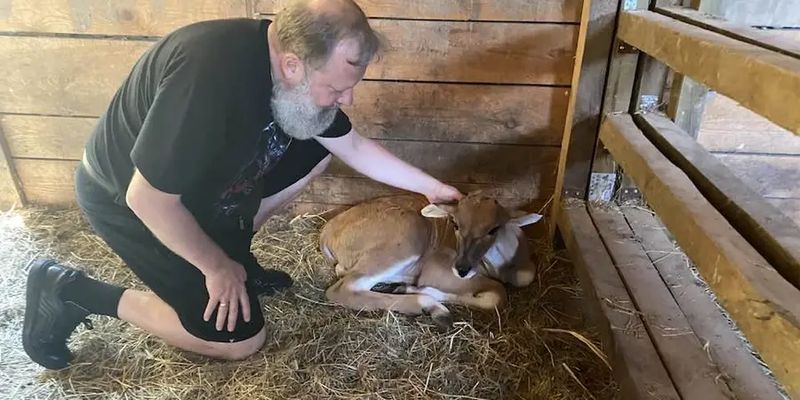 В зоопарке "XII Месяцев" на Киевщине родился малыш антилопы Канна