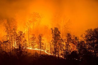 На Канарах более 2 тысяч человек эвакуировали из-за лесных пожаров