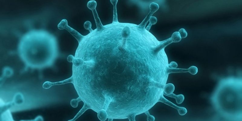 На Украину надвигаются четыре новых вируса гриппа - врач-инфекционист