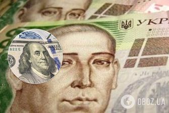 Обвал курса доллара в Украине: аналитики озвучили новый прогноз