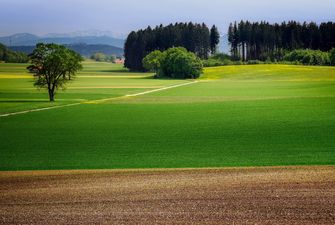 Нардепи пропонують продовжити заборону відчуження сільськогосподарських земель до 2023 року