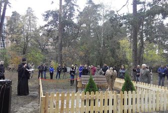 На Київщині вандали викинули меморіал Небесній Сотні у болото