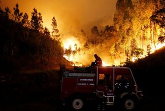 Масштабну пожежу у Португалії, яка тривала 4 дні, взяли під контроль