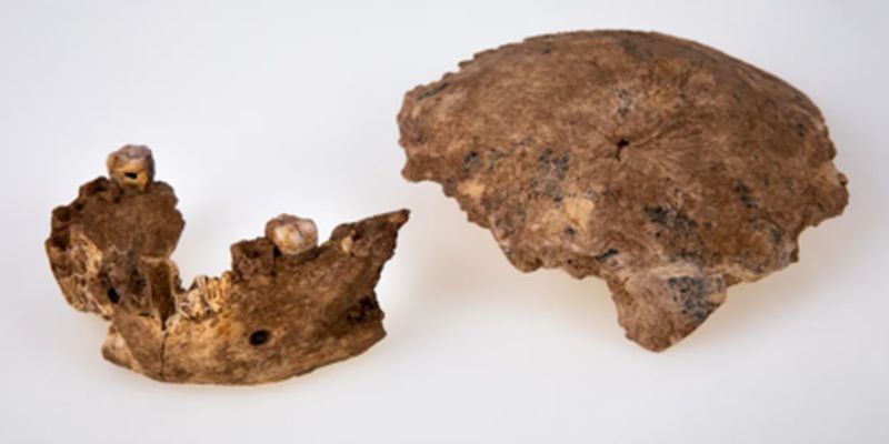 В Израиле нашли останки человека, жившего 140 тысяч лет назад: этот вид неизвестен науке, фото
