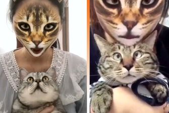 Реакция животных бесценна: Пользователи Сети шокируют котов с помощью масок