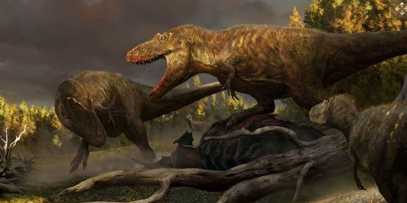 Ученые нашли новый вид динозавров: это может быть недостающее звено в эволюции тираннозавра