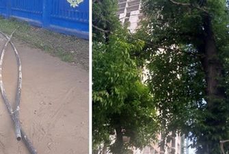 В Киеве застройщик устроил для местных жителей "сюрприз" с нечистотами: фото