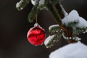Вкрали у дітей свято: у Росії з дитсадка поцупили новорічну ялинку, яку прикрасили дітлахи