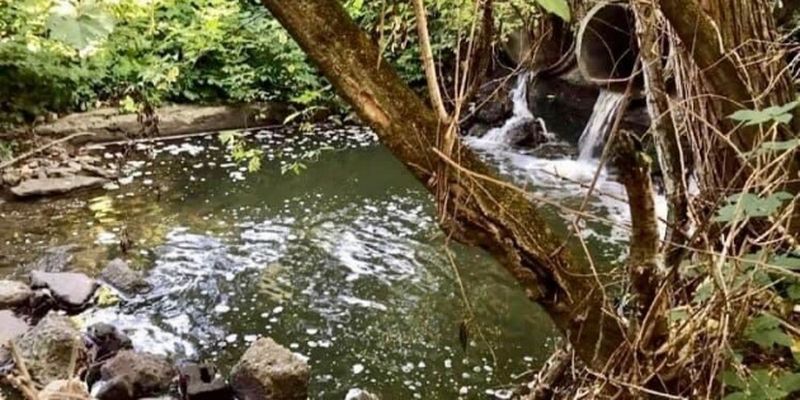 Житомирский водоканал продолжает сбрасывать неочищенные стоки в реку Тетерев
