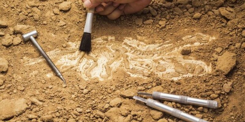 Ученые впервые наткнулись на кости древнего чудища: "Челюсти с зубами либо..."