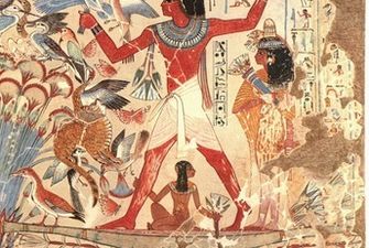 Ученые выяснили, что делали в Древнем Египте со священным ибисами и почему птицы почти исчезли