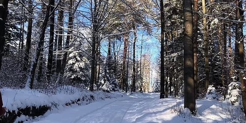 Зимняя сказка повышает самооценку: ученые нашли неожиданную пользу снежных пейзажей