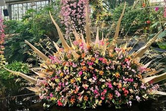 В лондонском ботсаду одновременно показали 5 тысяч орхидей
