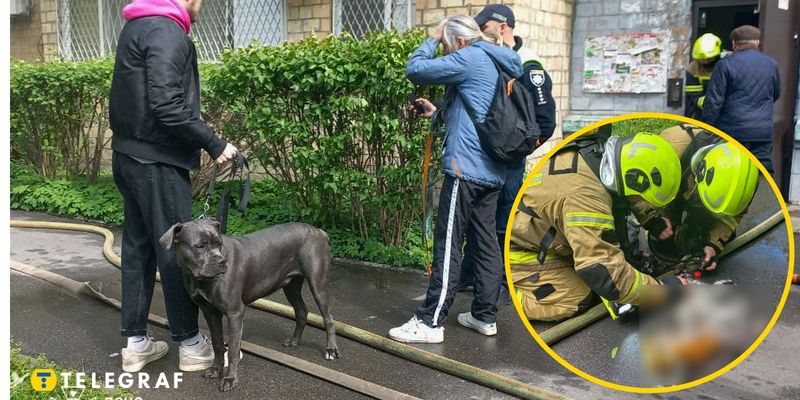 В Киеве горела квартира, набитая животными: некоторых из них спасти не удалось