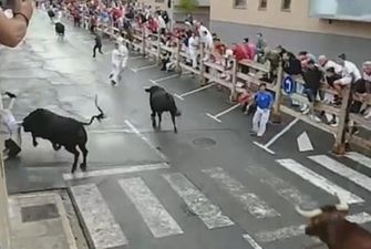 В Испании бык протащил проткнутого рогами мужчину: жуткий момент попал на видео