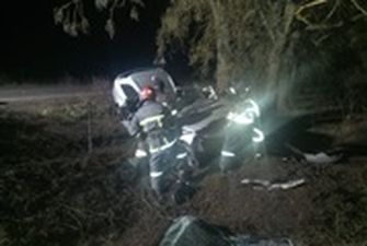 На Одессчине авто врезалось в дерево, погибли два человека