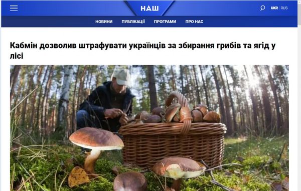 «За збір грибів і ягід в Україні відтепер доведеться платити штраф». Правда чи фейк? - Фото 2