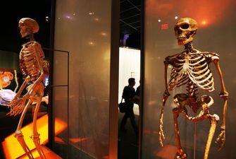 Таємниця гибелі неандертальців. Учені запідозрили у винищені давніх людей звичайну дитячу хворобу